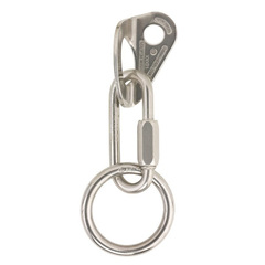 AustriAlpin Bohrhakenlasche Top mit Ring